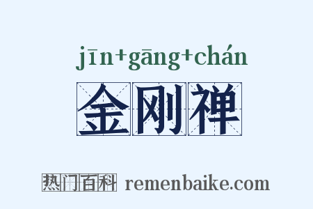 金刚禅是什么意思的图片